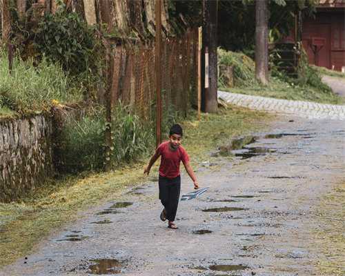 试管胚胎移植知识科普：鲜胚、冻胚移植标准各不同