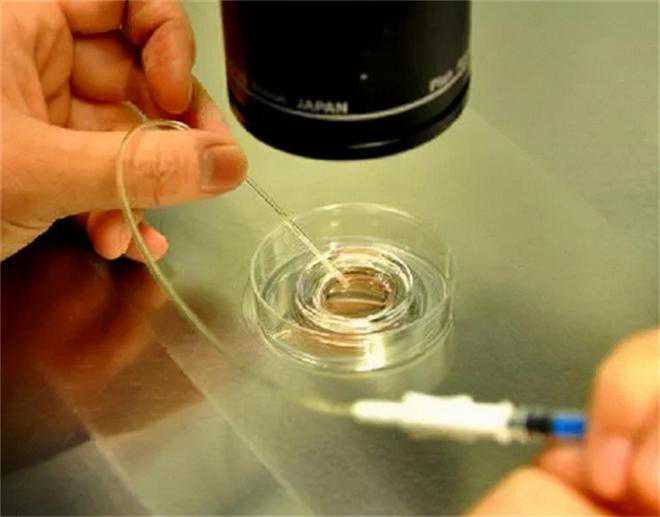 生男生女偏方真的有用吗？生殖医学专家辟谣