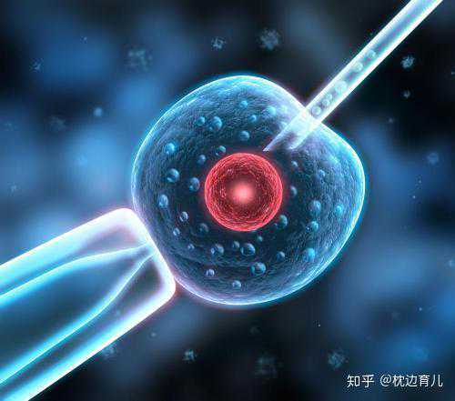 济南单身助孕机构对比：如何做到理性地选择