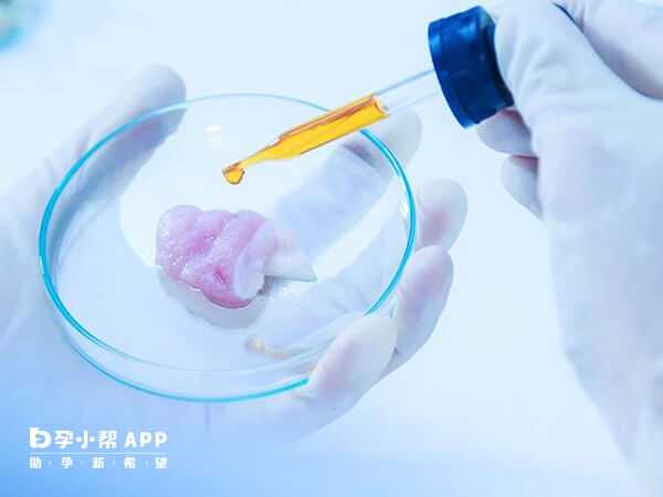 济南单身女性如何保存生育力？冻卵还是冻胚？